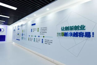 互聯(lián)網(wǎng)服務(wù) 創(chuàng)新創(chuàng)業(yè)的沃土，方興未艾的新篇章