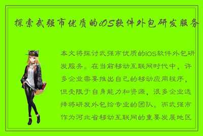 探索武強市優質的iOS軟件外包研發服務